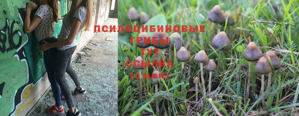 эйфоретик Навашино