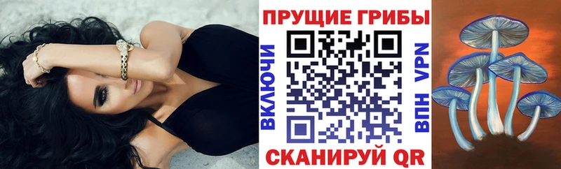 Псилоцибиновые грибы мухоморы Купить Гаджиево