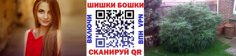 Купить Гаджиево Марихуана Ganja